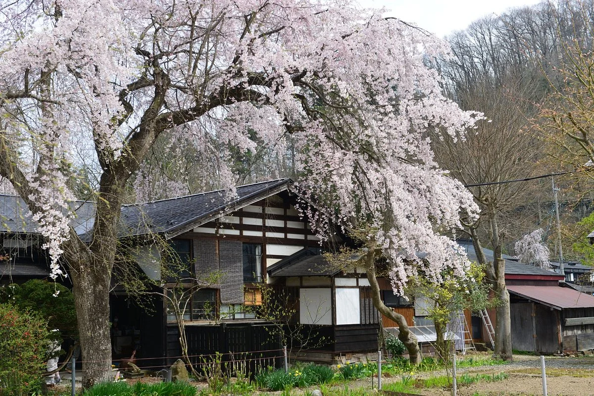 Samurai District