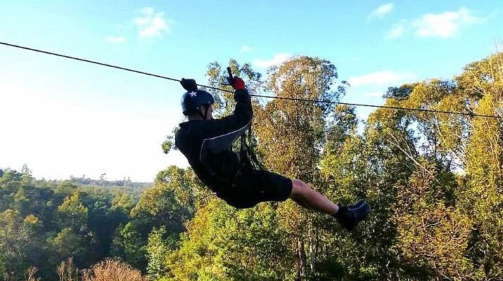 SA Forest Adventures