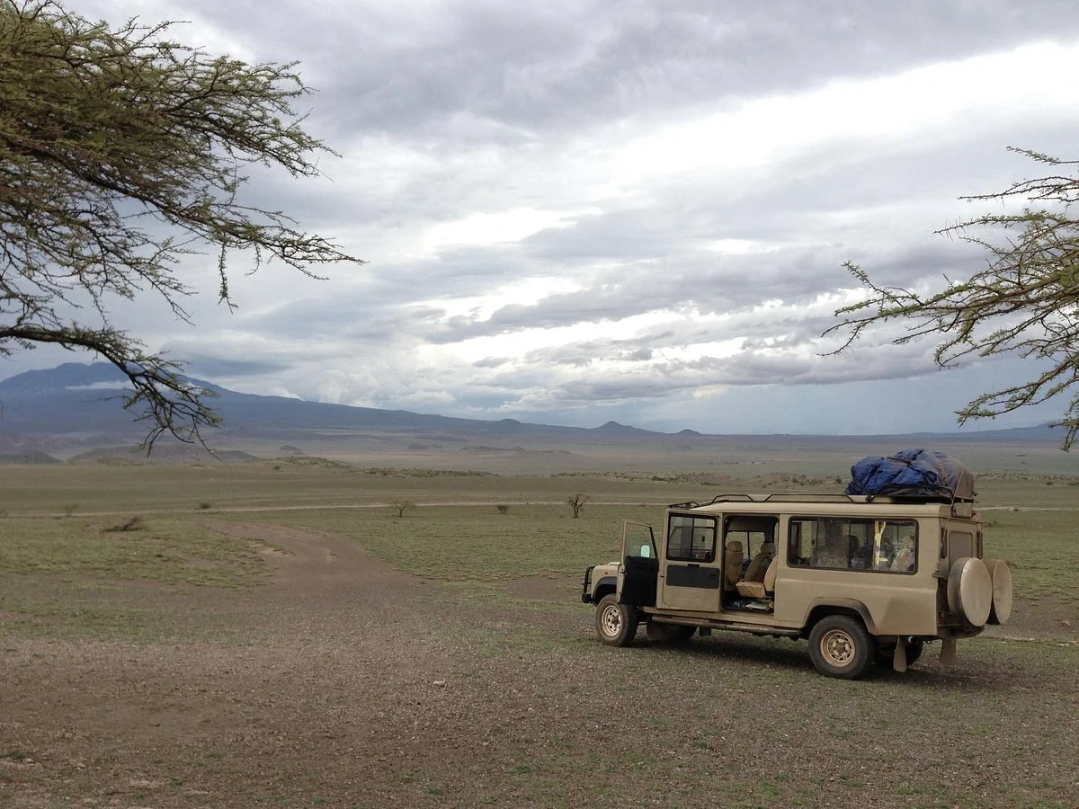 Misele Africa Safaris