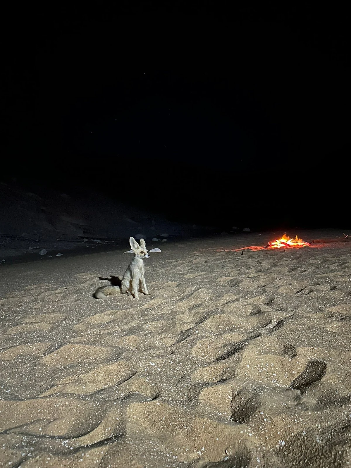 Western Desert Camping