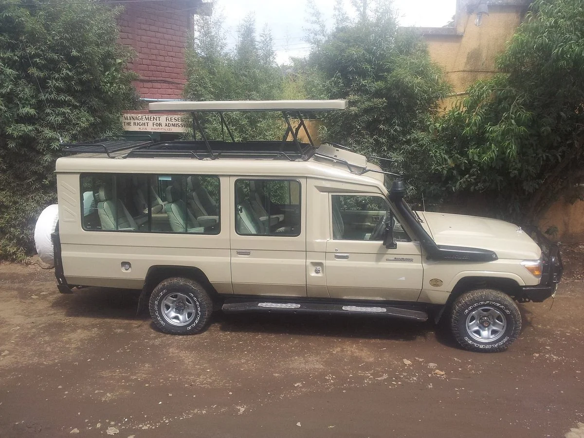 Back To Africa Tours & Safaris