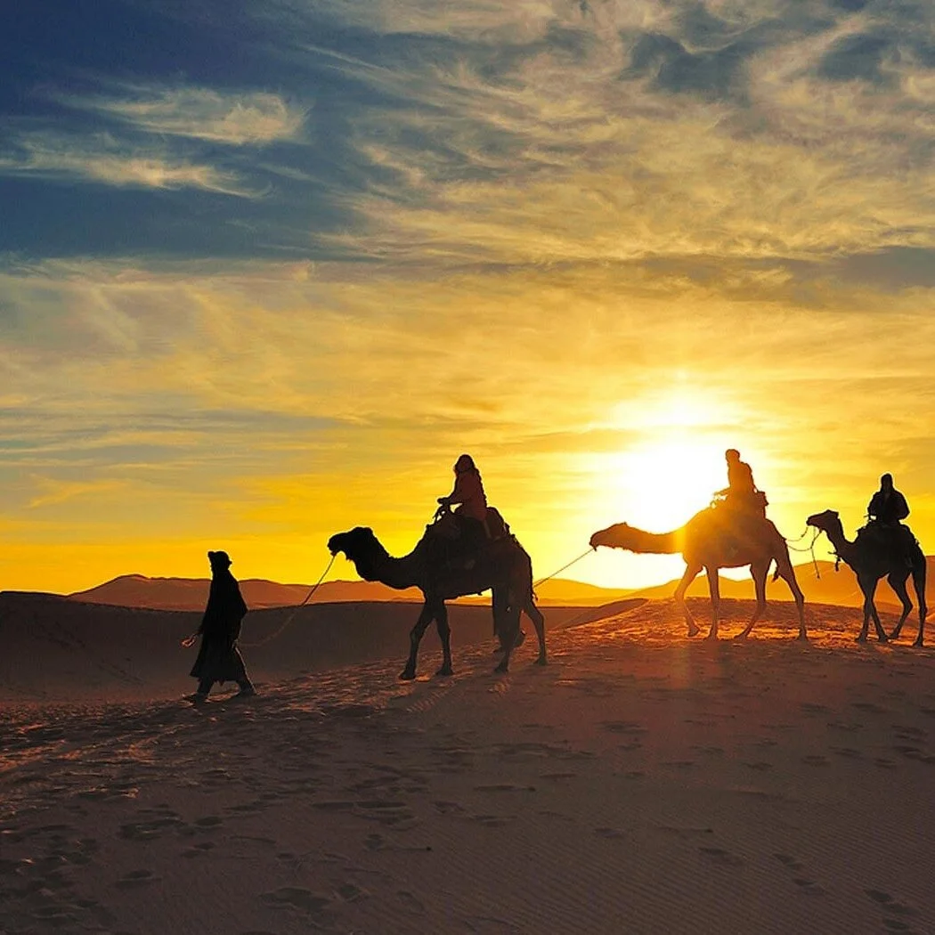 MOROCCO TRAVEL EXPLORER