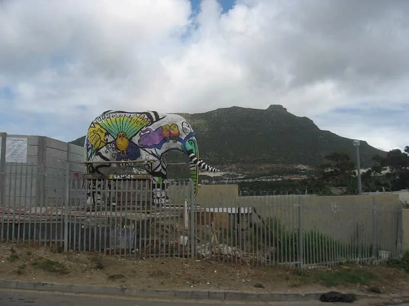 Imizamo Yethu Settlement
