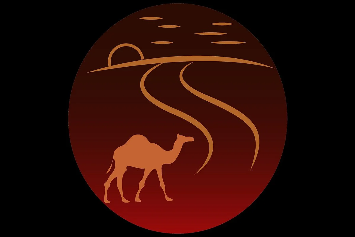 Best Atlas Tours