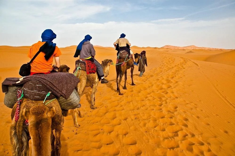Culture Desert Tours