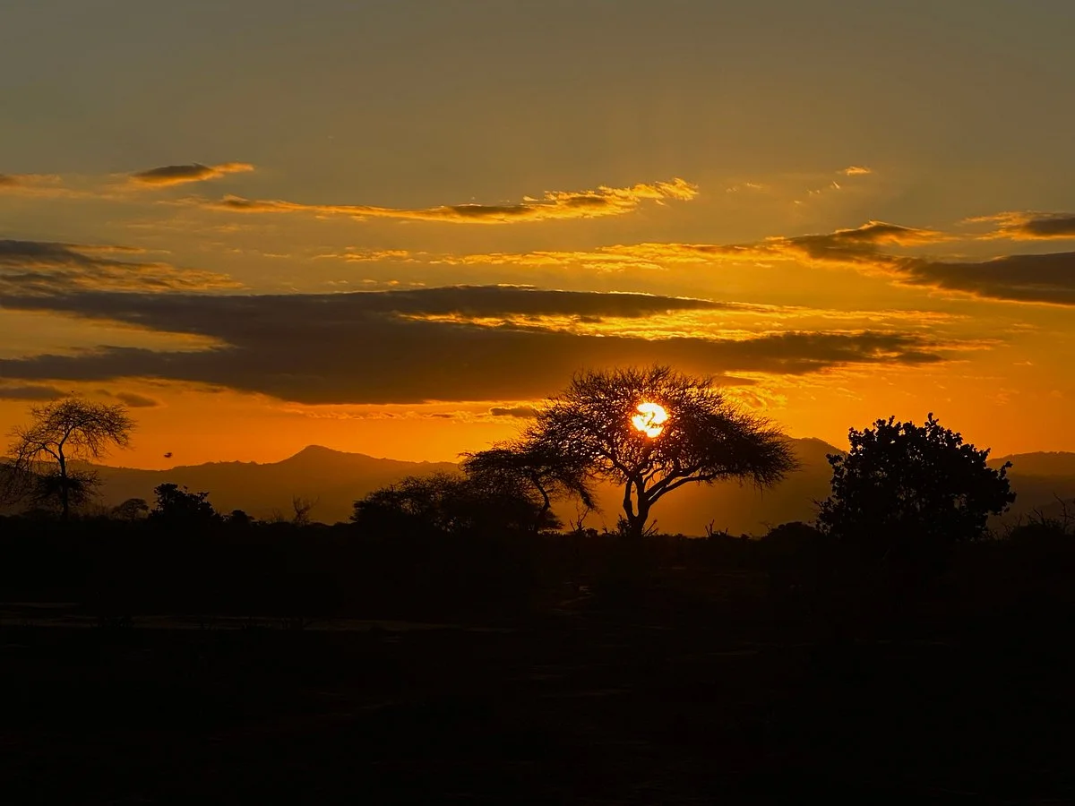 Kenya Safari