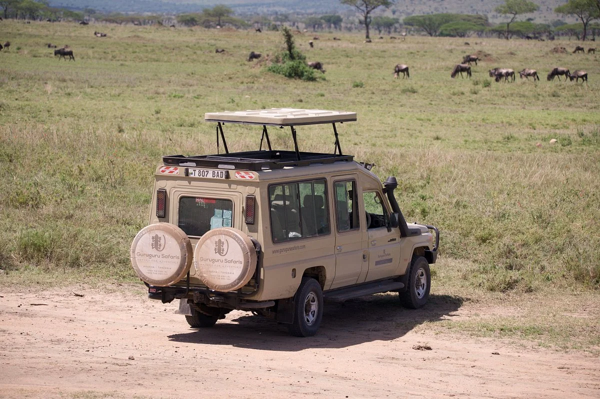 Guruguru Safaris