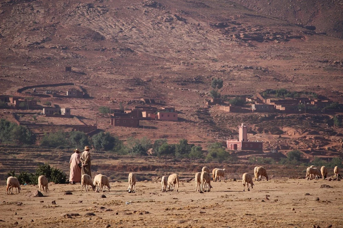 Voyages Expeditions Maroc Day Tours