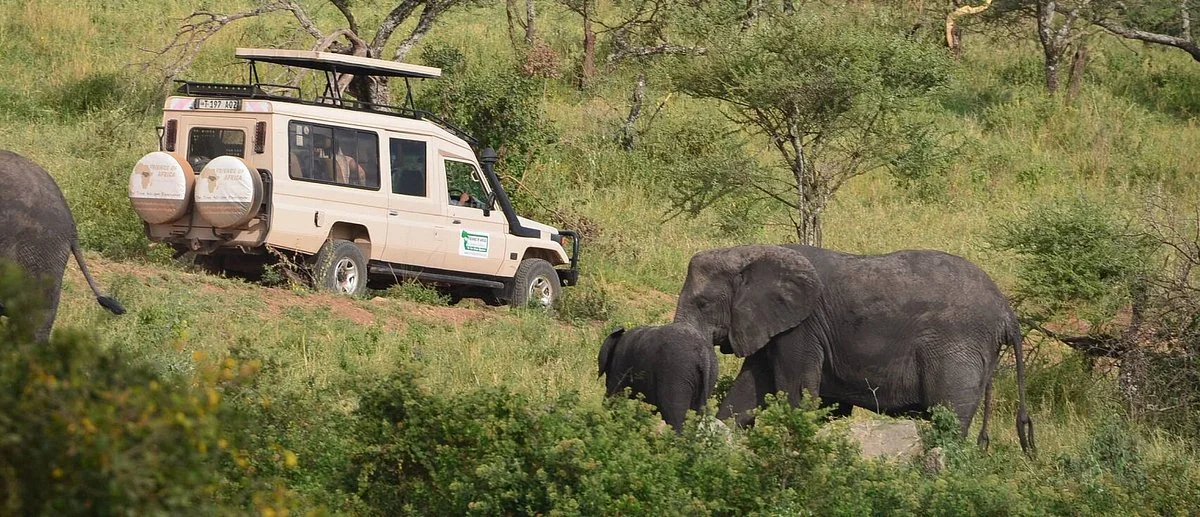 Friends Of Africa Family Safaris Ltd