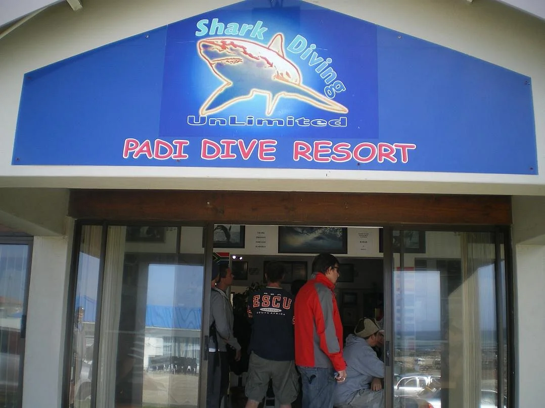 Shark Diving Unlimited