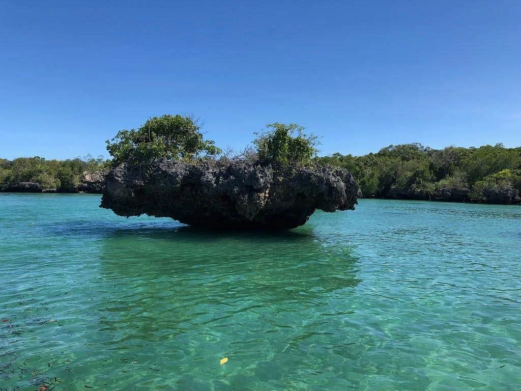 Allex Zanzibar Excursions