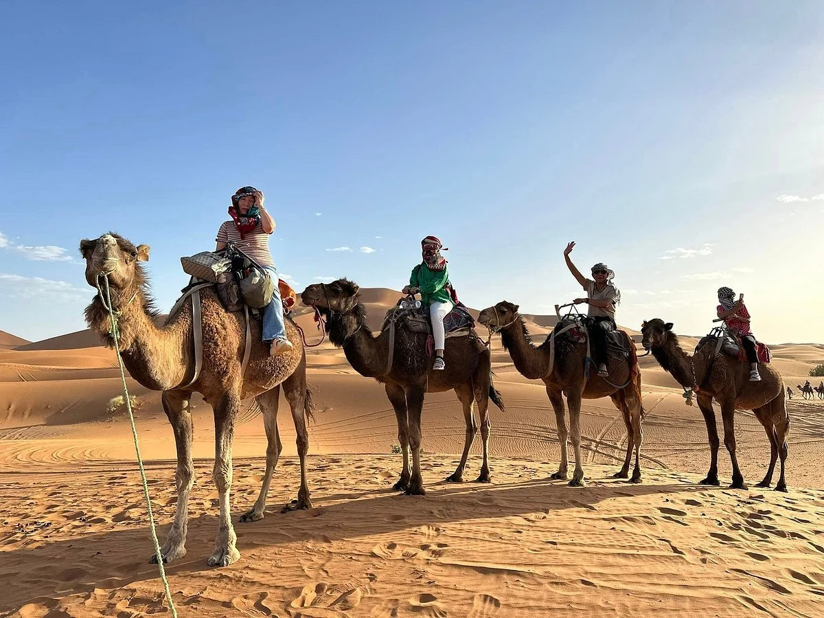 Dunes Expedition
