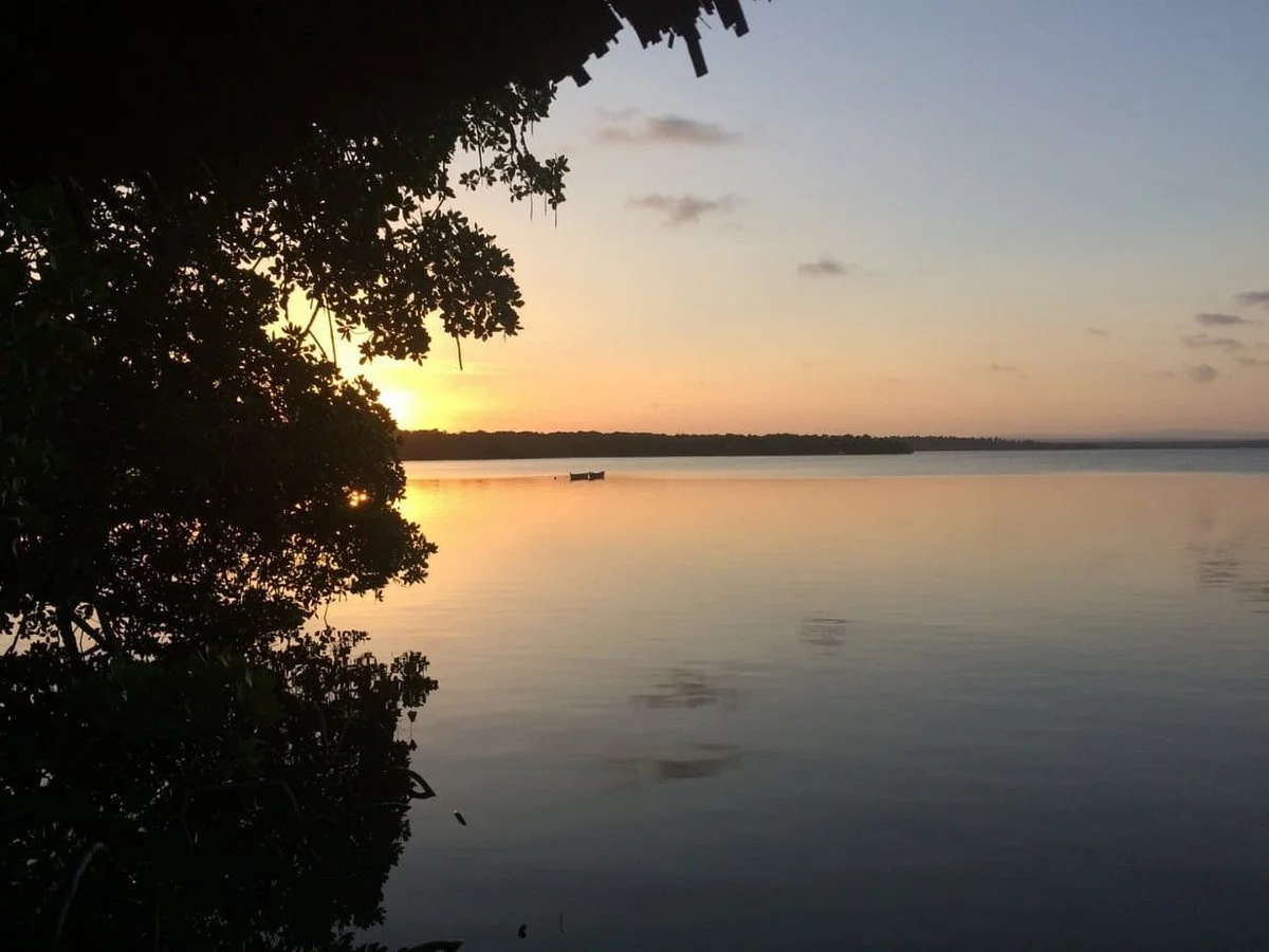 Jelly Taxi Watamu