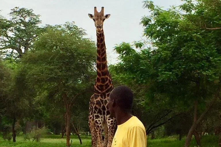 Senegal Tourists Guide