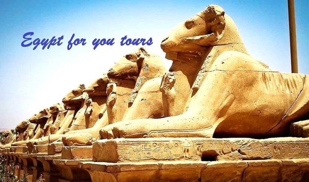 Egypt For You Tours