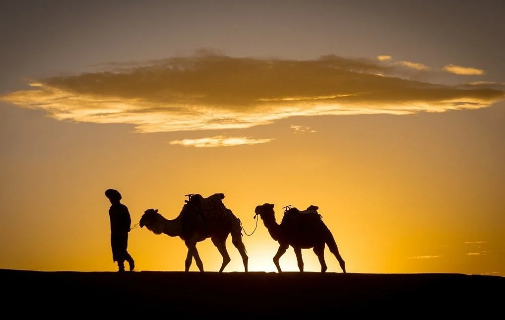 Your Trip in Morocco