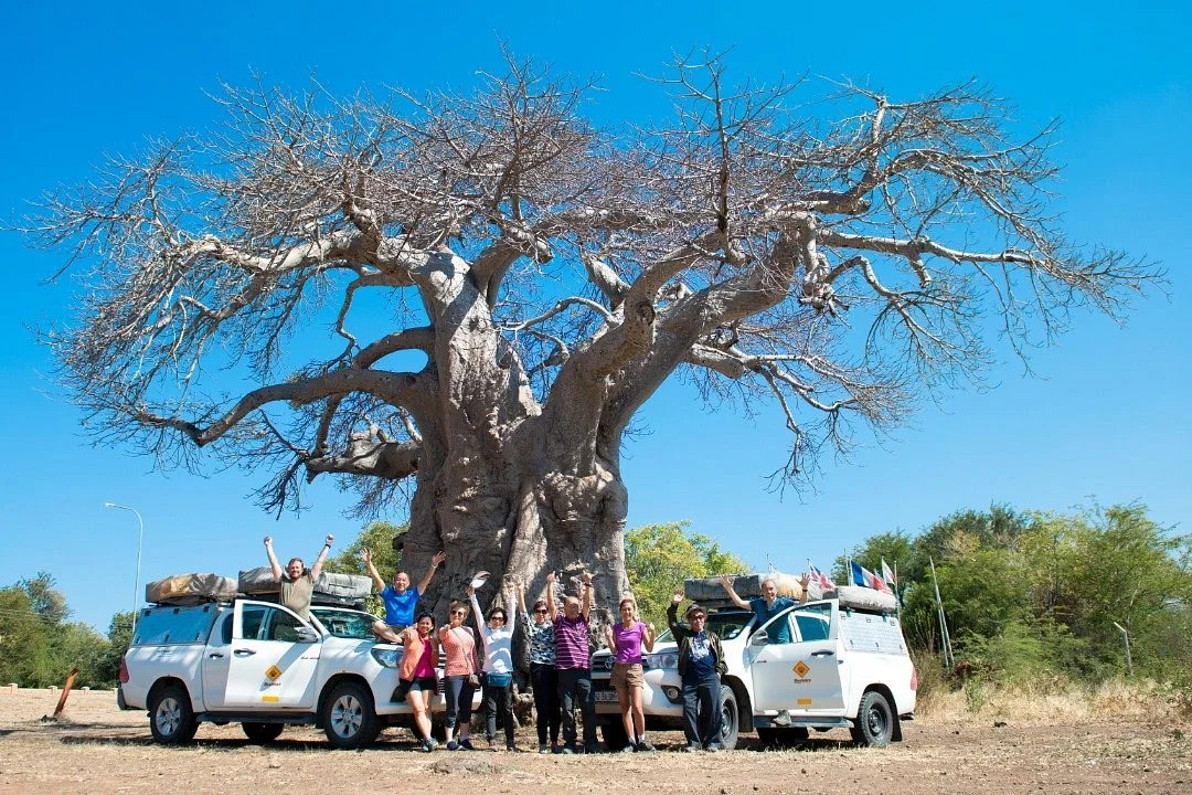Bushlore Africa