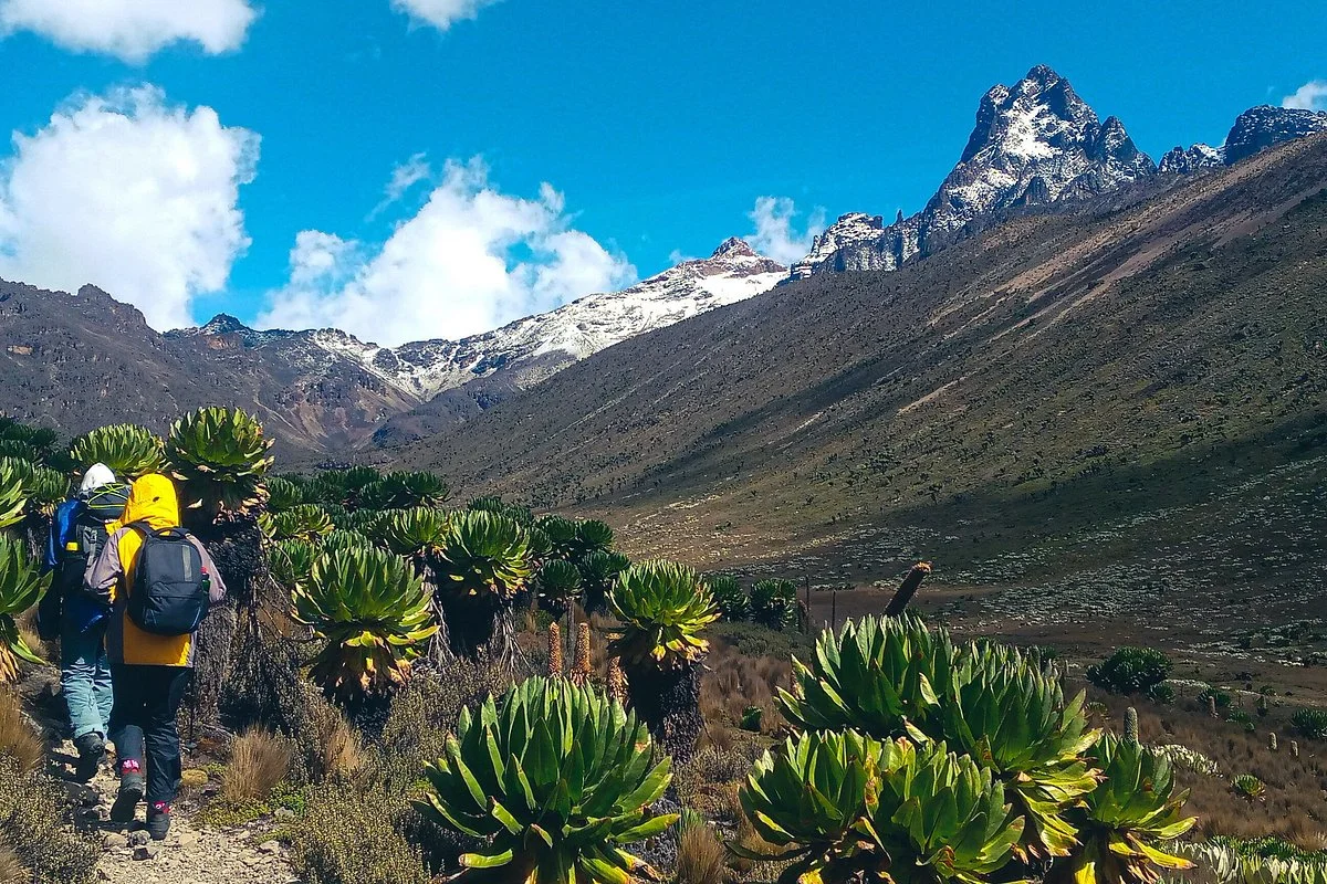 Jose Safaris & Adventures