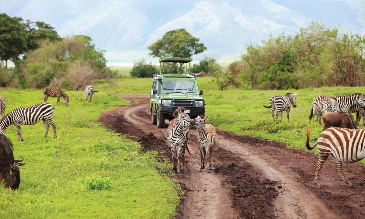 Travel Partners Safaris