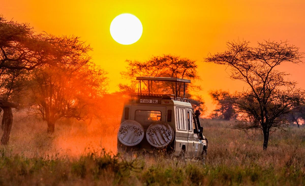 Norbert Safaris & Adventures