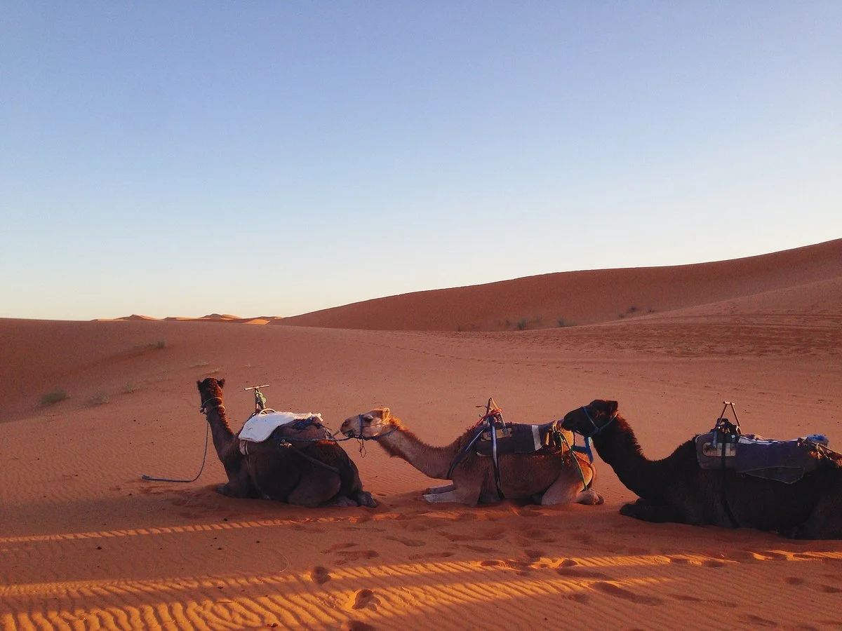 Hiking Nomads Morocco