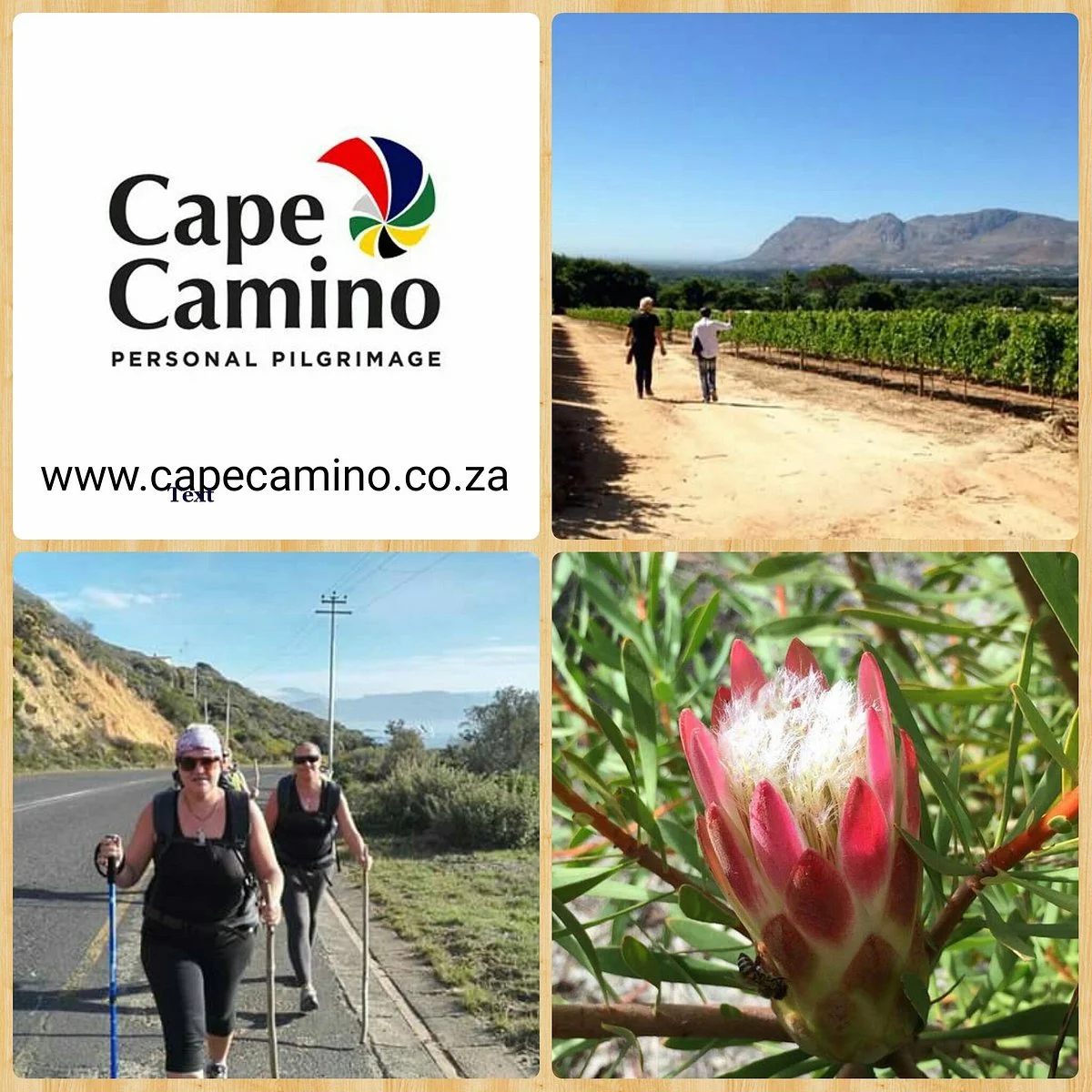 Cape Camino