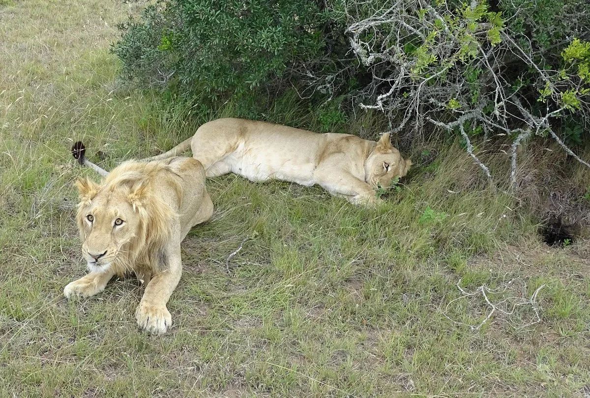 SA Guided Tours - Day Tours