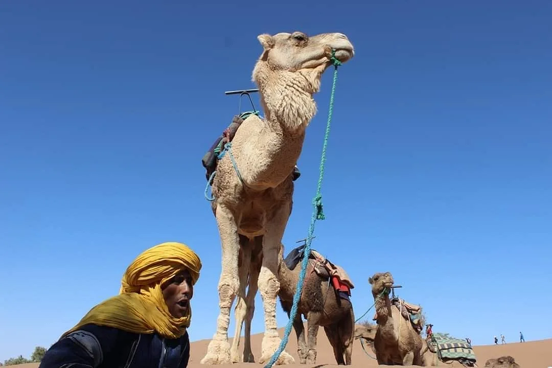MOROCCANCIRCUIT