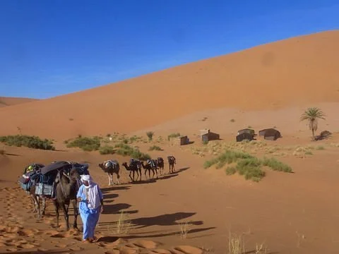 Safari Sahara Tours