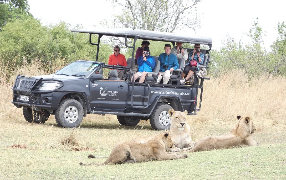 Island Mobile Safaris