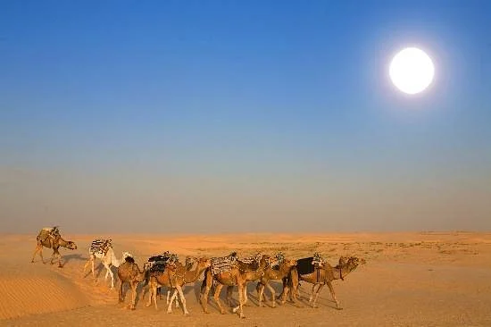 Sud Expeditions Day Tours
