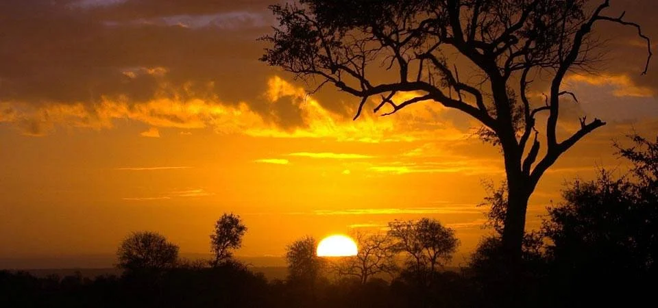 Outdoor Africa