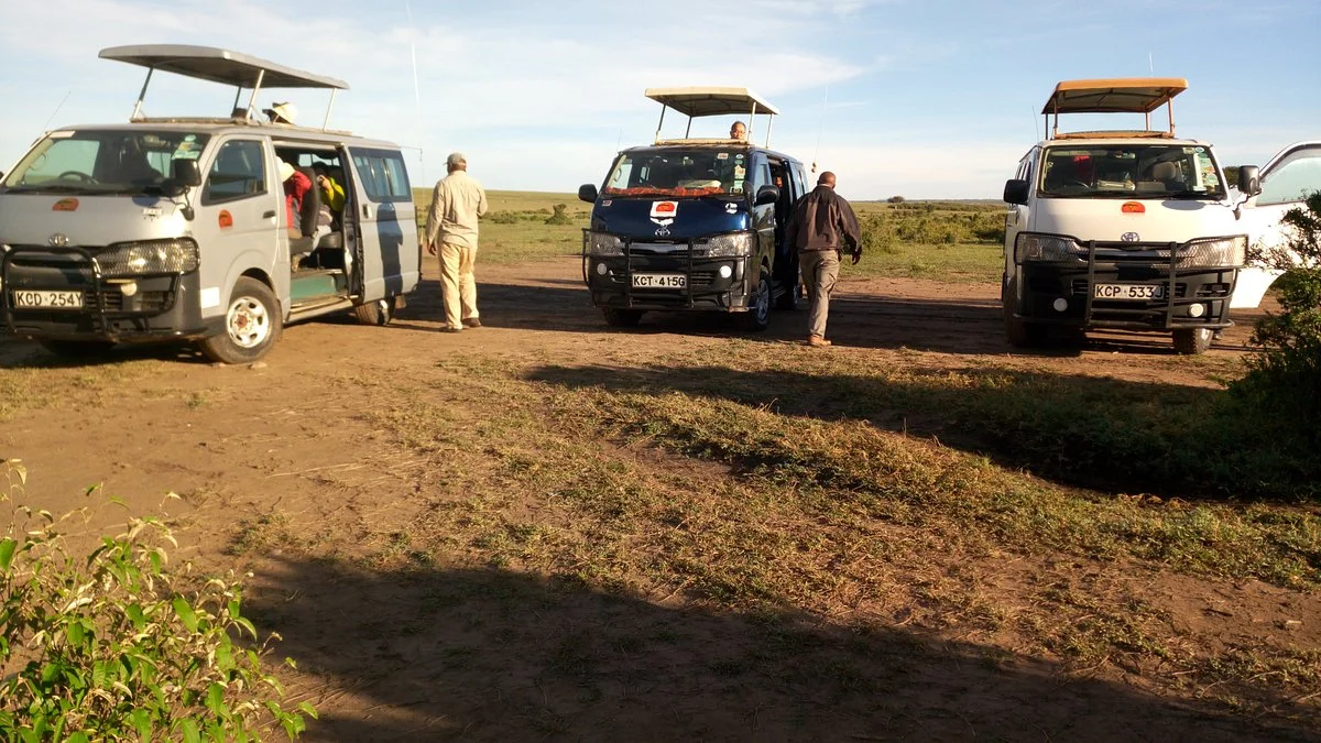 Seremara Safaris