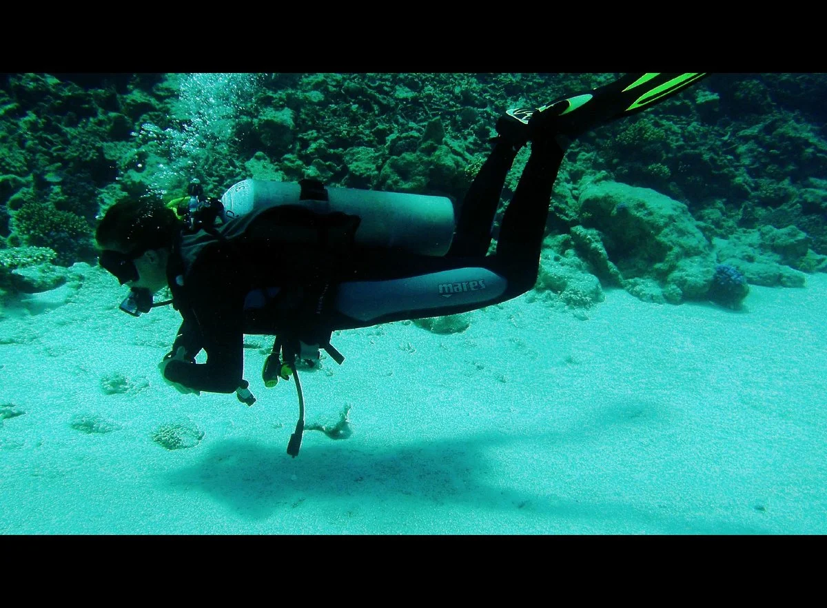 Diving Stars