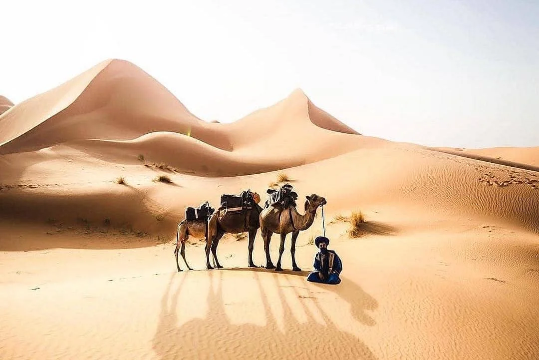 Morocco Upclose