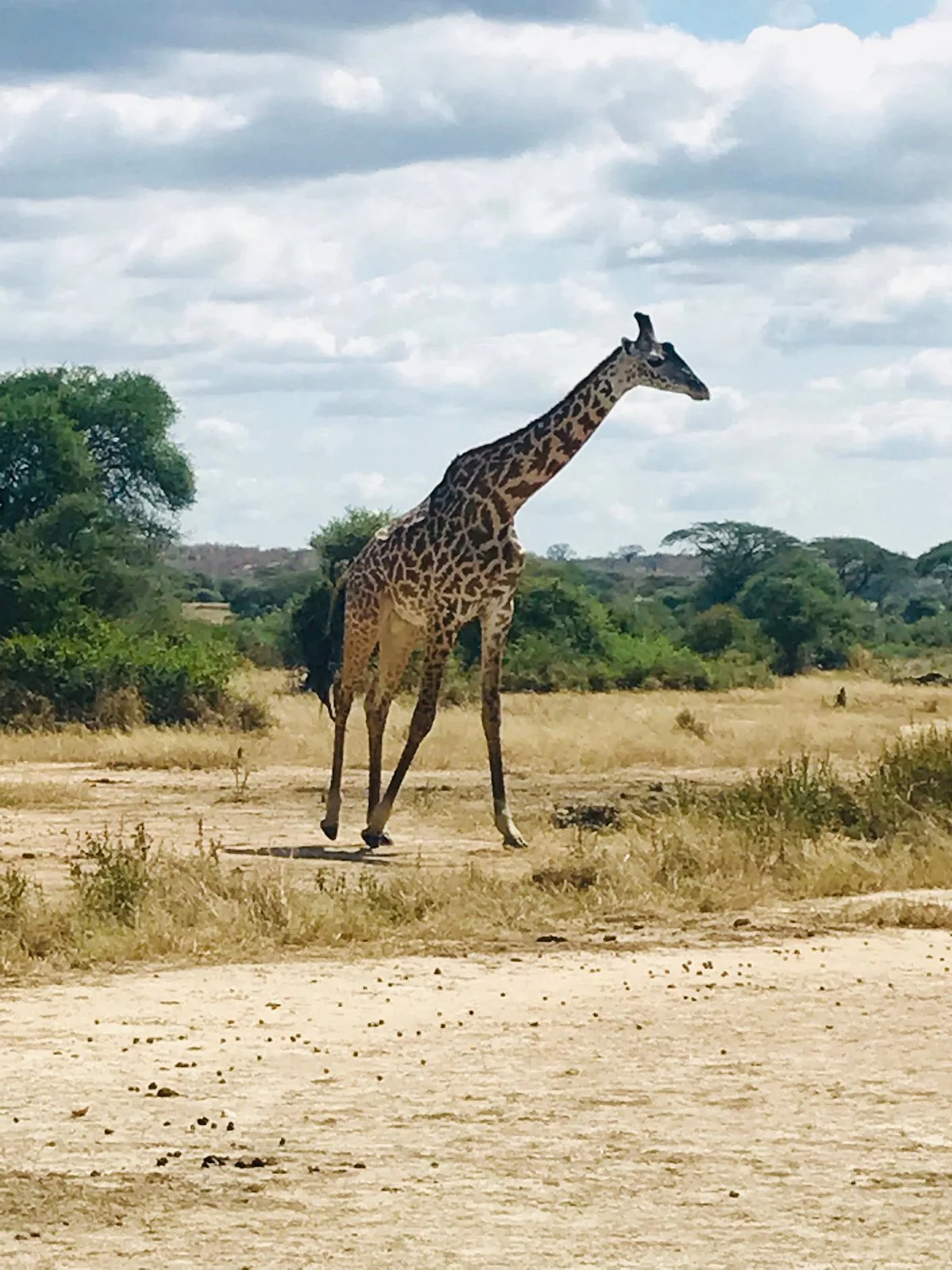 Mukuta Travels & Tours