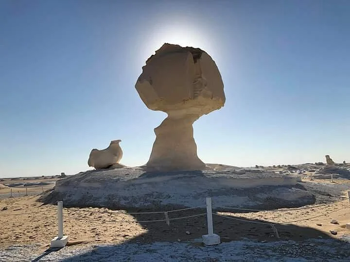 White Desert Safari