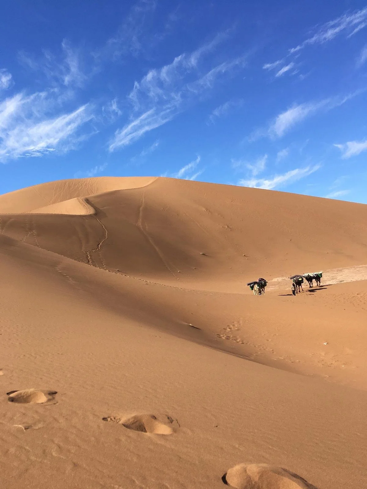 Camp Sahara desert tours