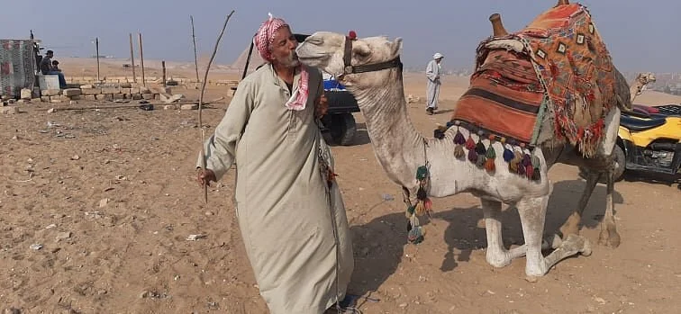 Kamose Egypt Tours