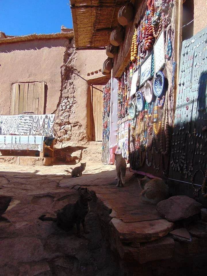 Be In Morocco