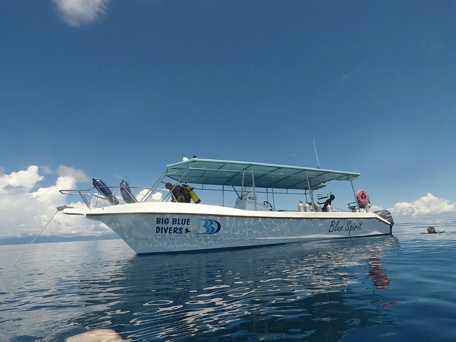 Big Blue Divers