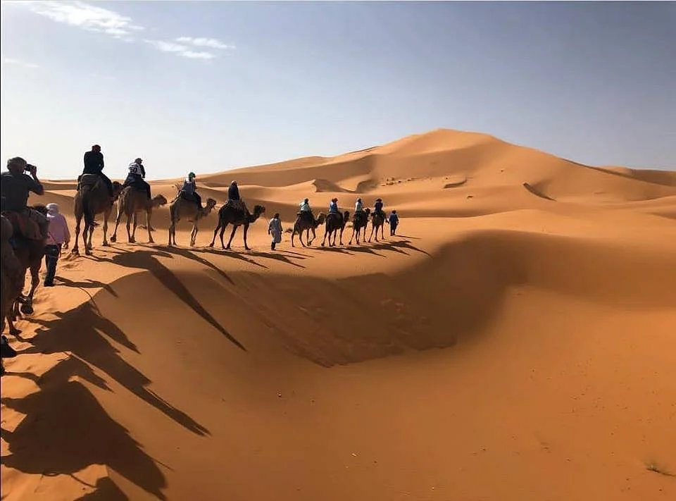 Around Marrakech Tours
