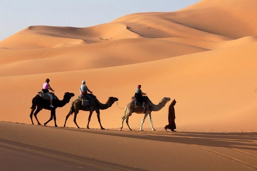 Day Desert Tours