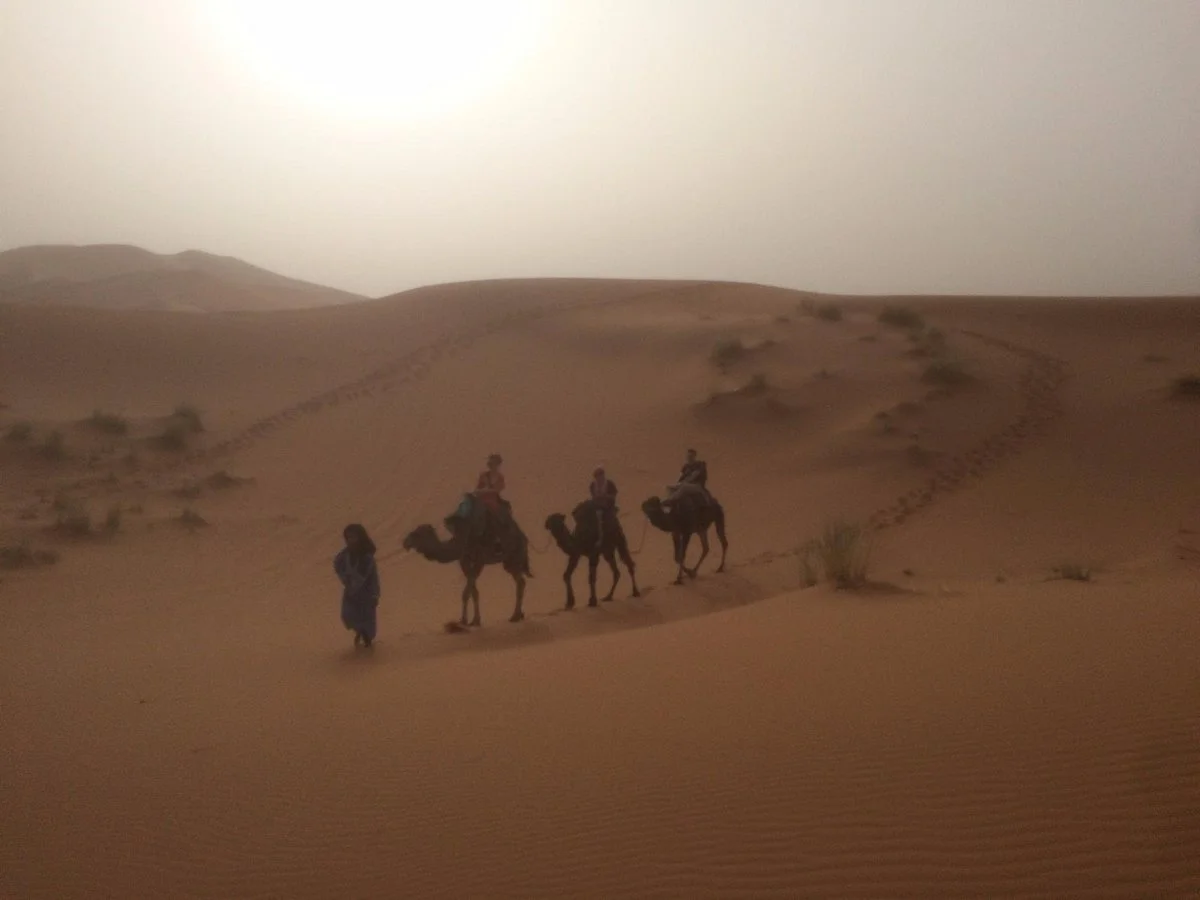 Camel Bivouac Merzouga
