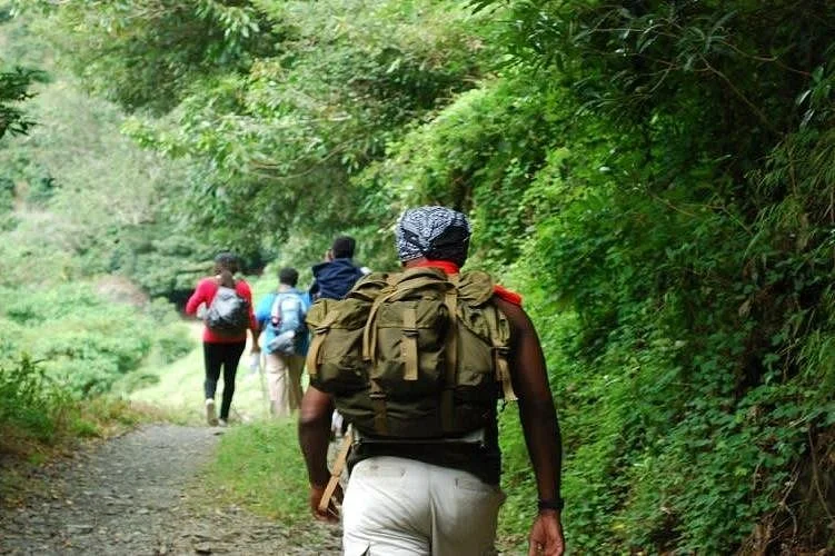 Maasaimara train safaris