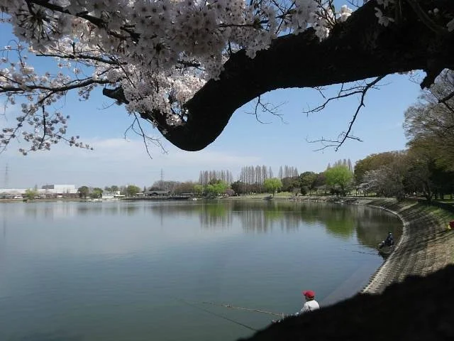 Kuki Shobu Park
