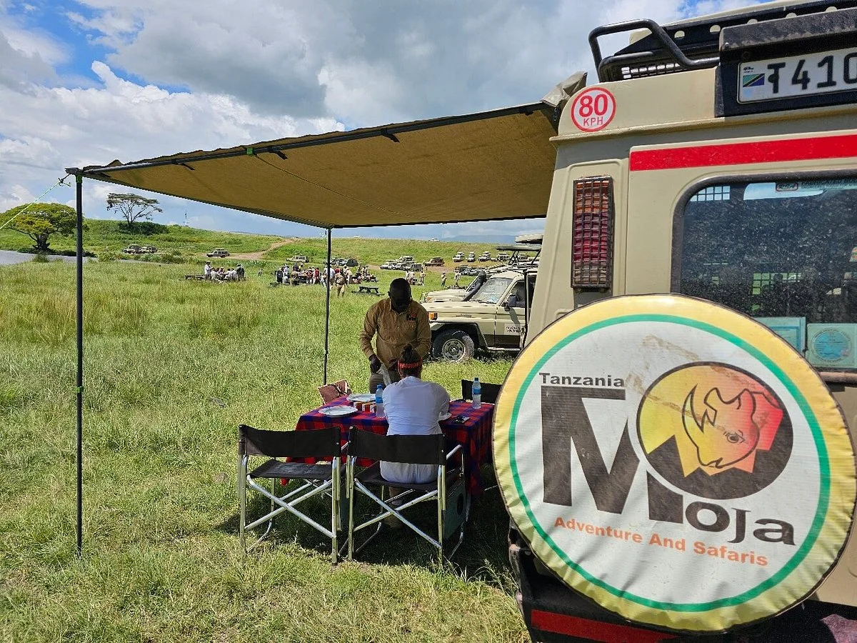 Moja Adventure and Safaris