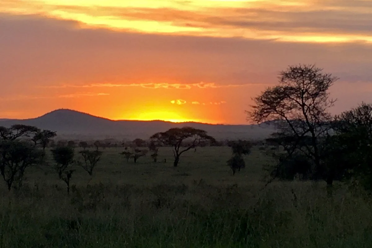 Tanganyika Outdoor Safari