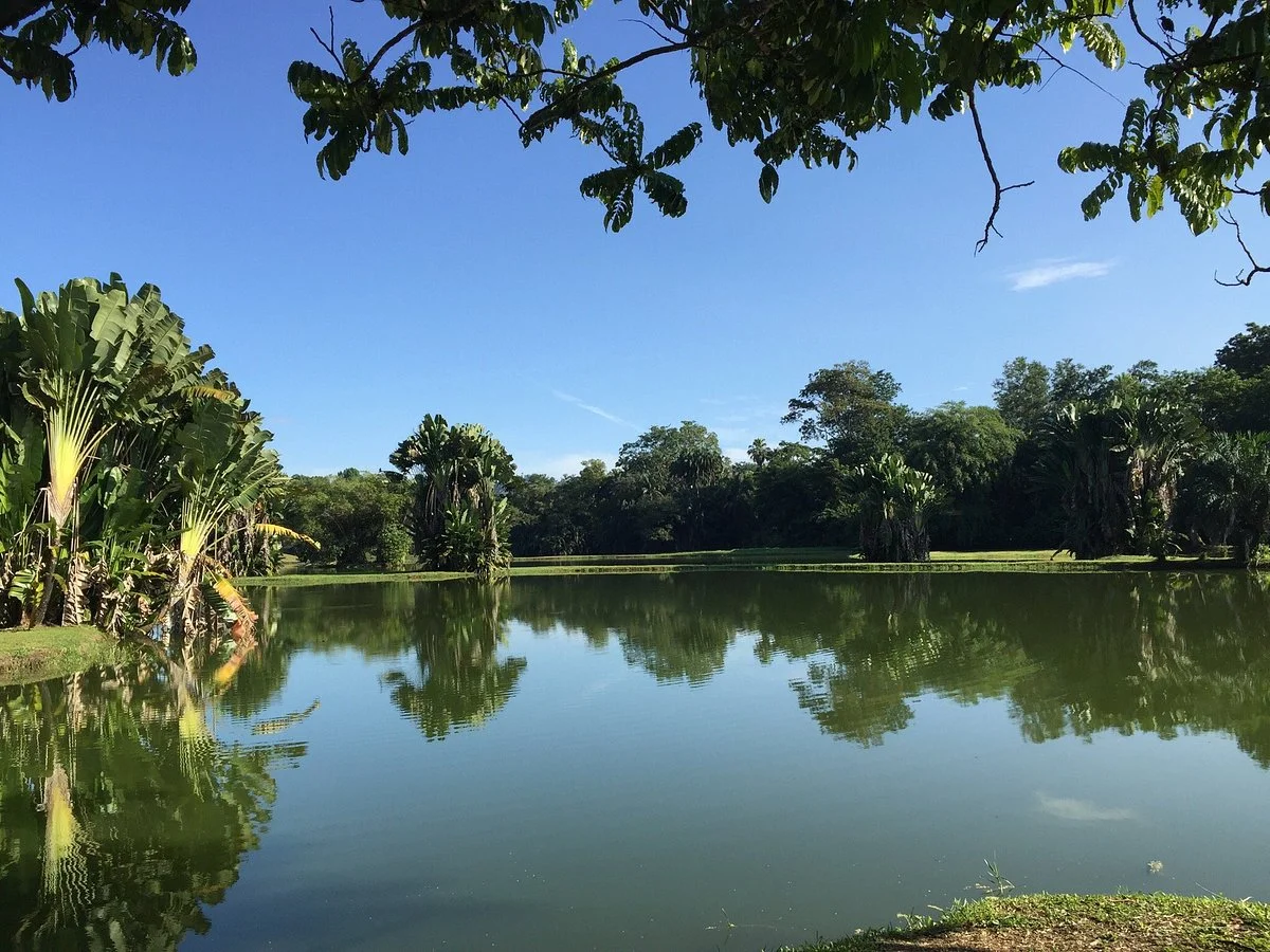 Taiping Lake Gardens