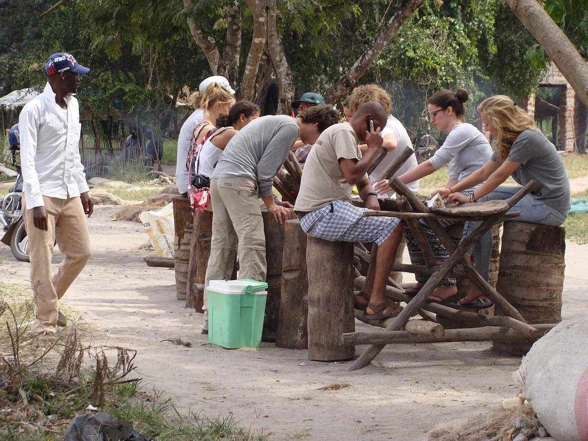 Wildness Safari  Day Tours